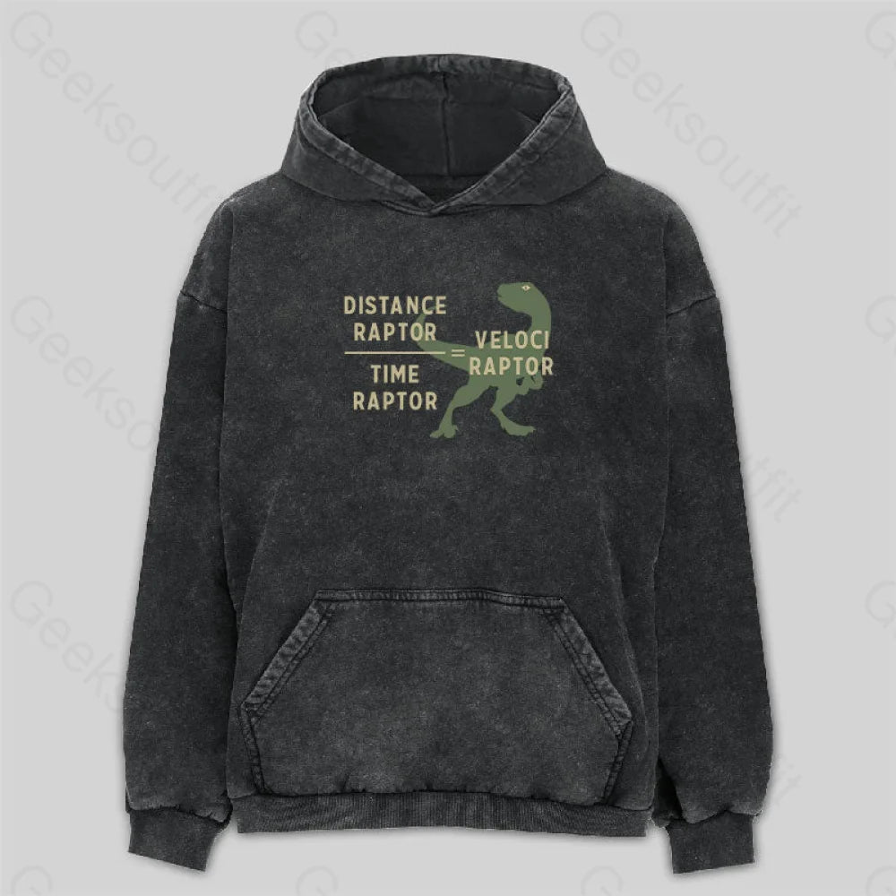 Equations Of Motion Science Velociraptor Washed Hoodie